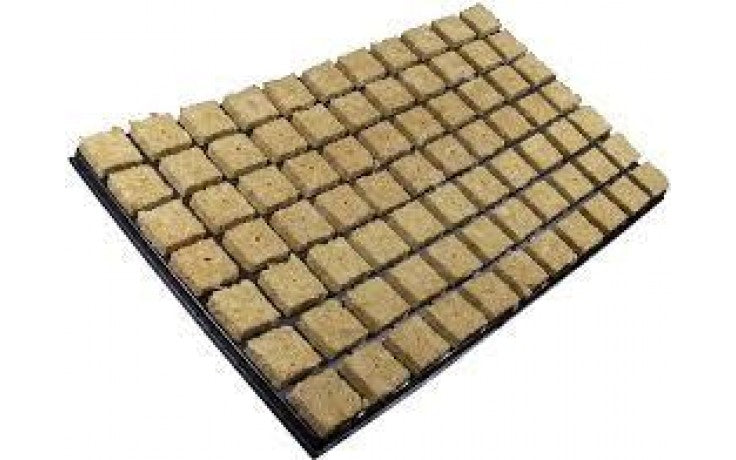 Grodan Anzuchttray 77er