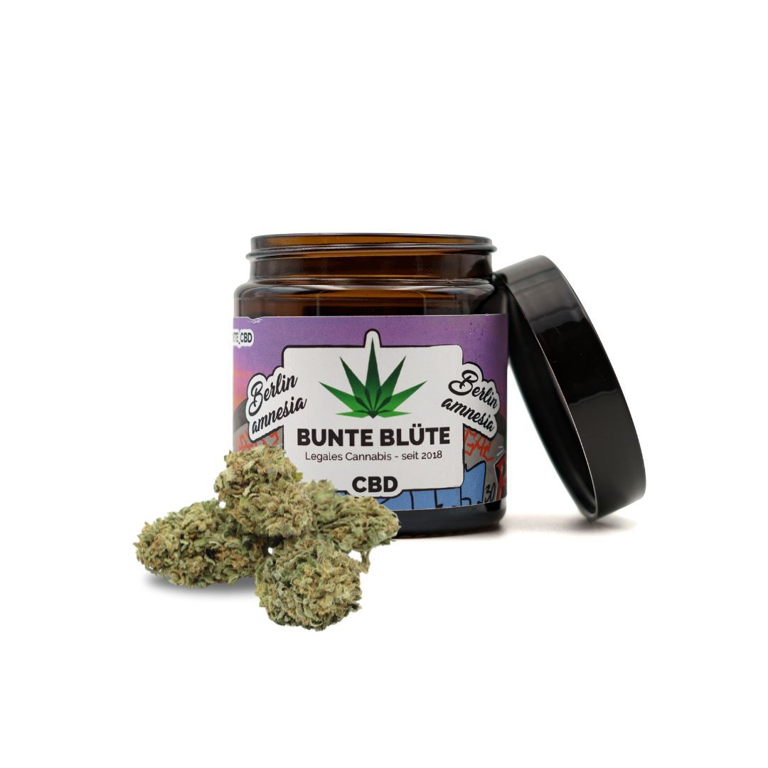 Bunte Blüte - Berlin Amnesia