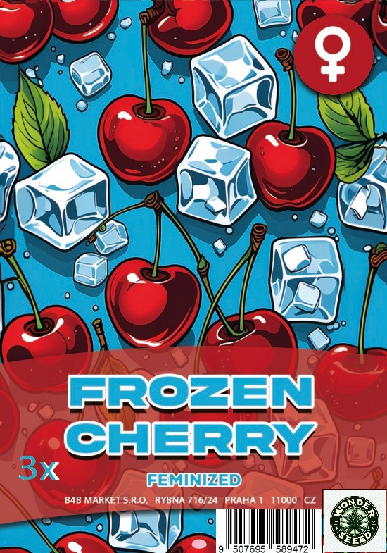FROZEN CHERRY - WONDER SEED 3 Seeds