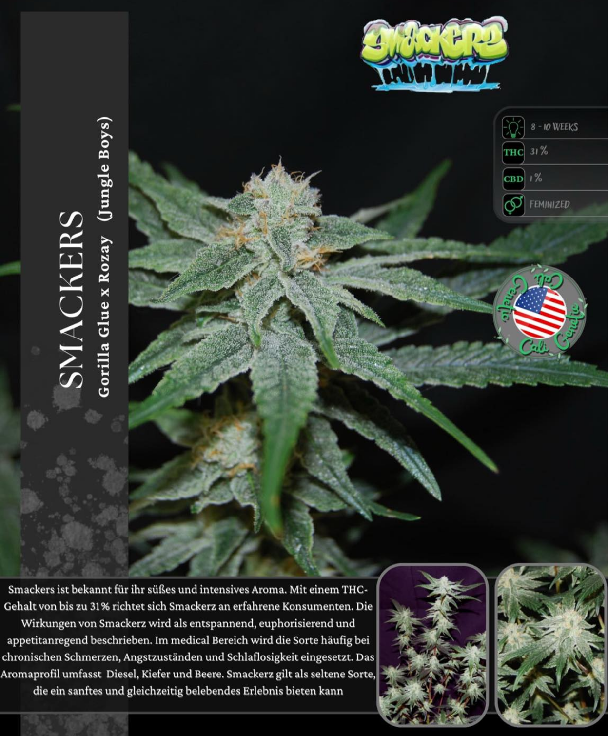 Smackerz – Steckling