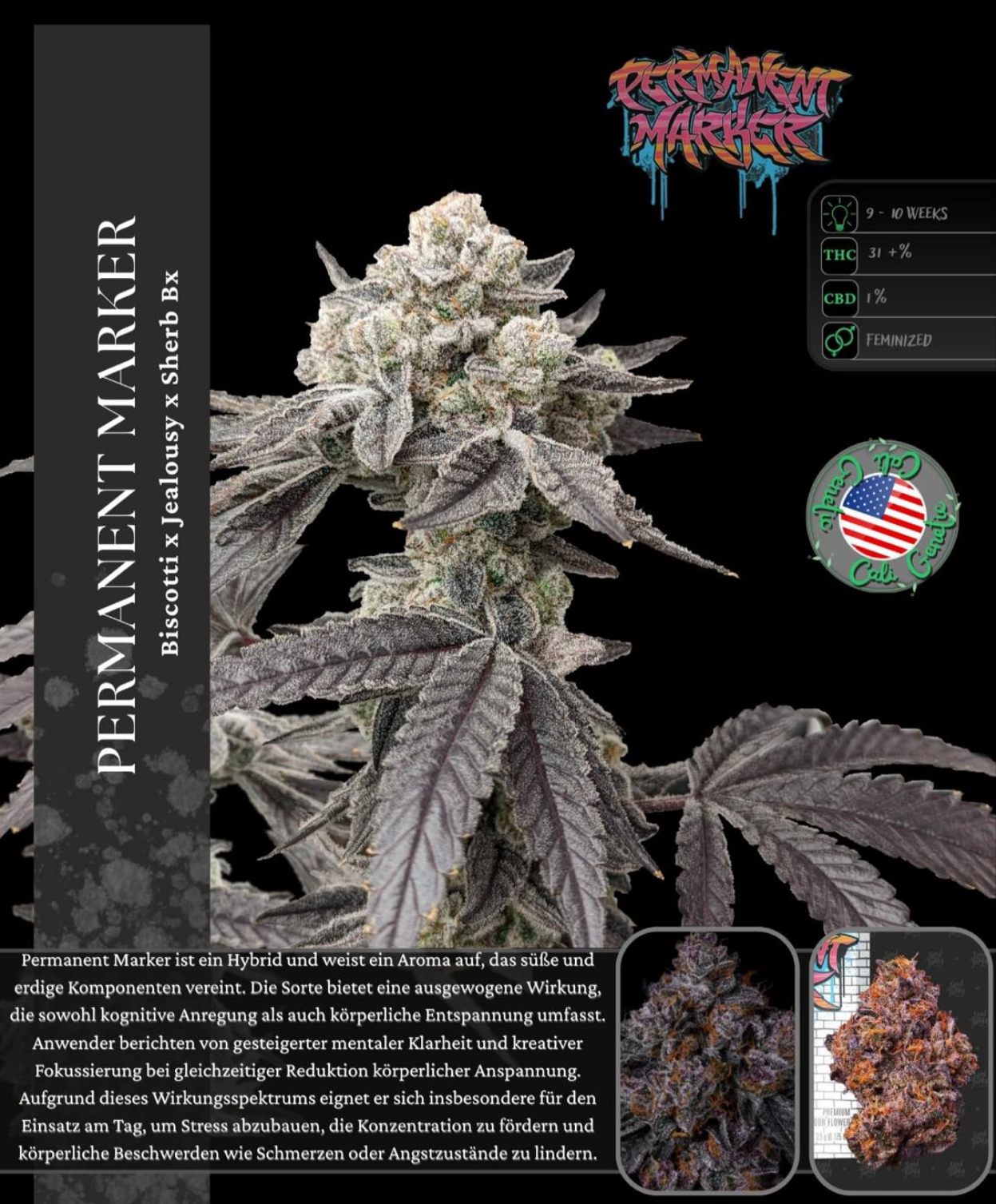 Permanent Marker Seed Junky Genetics x Doja Exclusive Cut - Steckling