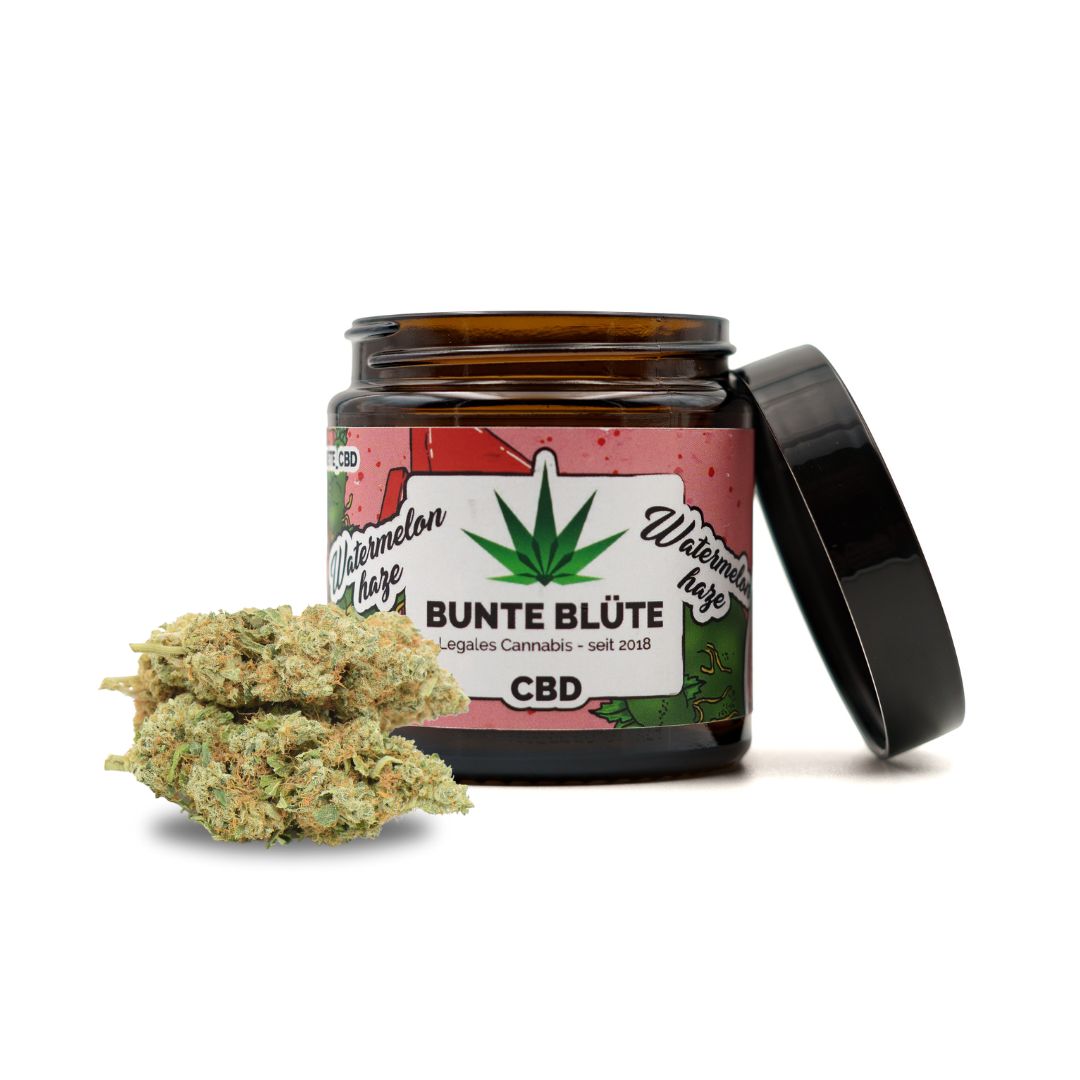 Bunte Blüte - Watermelon Haze