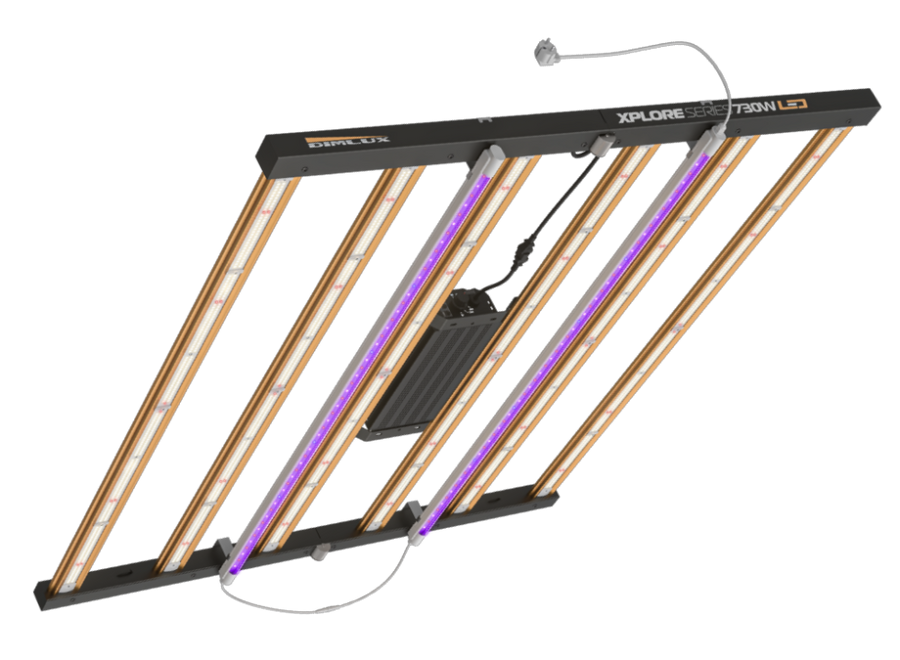 Dimlux Xtreme & Xplore Series LED 730 Watt