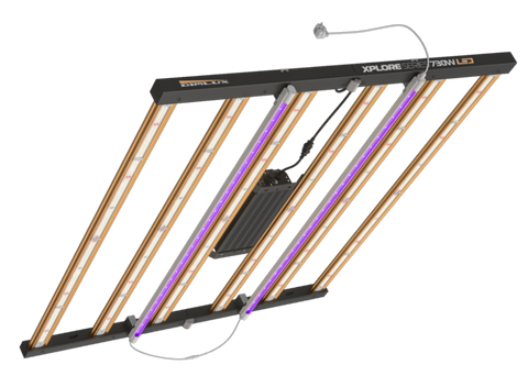 Dimlux Xtreme & Xplore Series LED 730 Watt