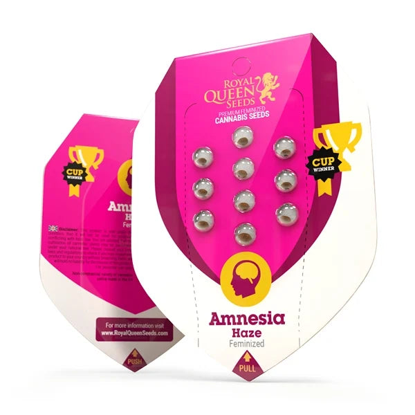 Amnesia Haze - Feminized - 3 Seeds + 3 Sample Seeds - Royal Queen Seeds