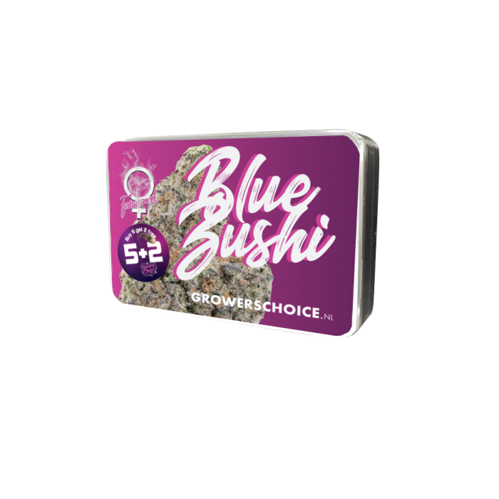 Blue Zushi Limited Edition 3 + 1 Seeds - Growers Choice