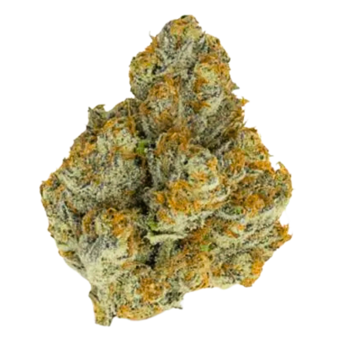Blue Zushi Limited Edition 3 + 1 Seeds - Growers Choice
