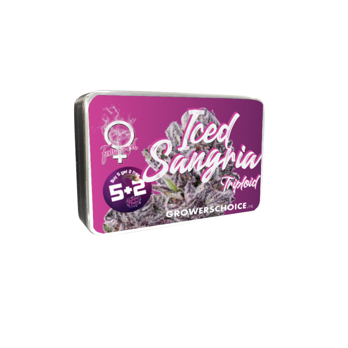 Triploid F1 Iced sangria 3 + 1 Seeds - Growers Choice