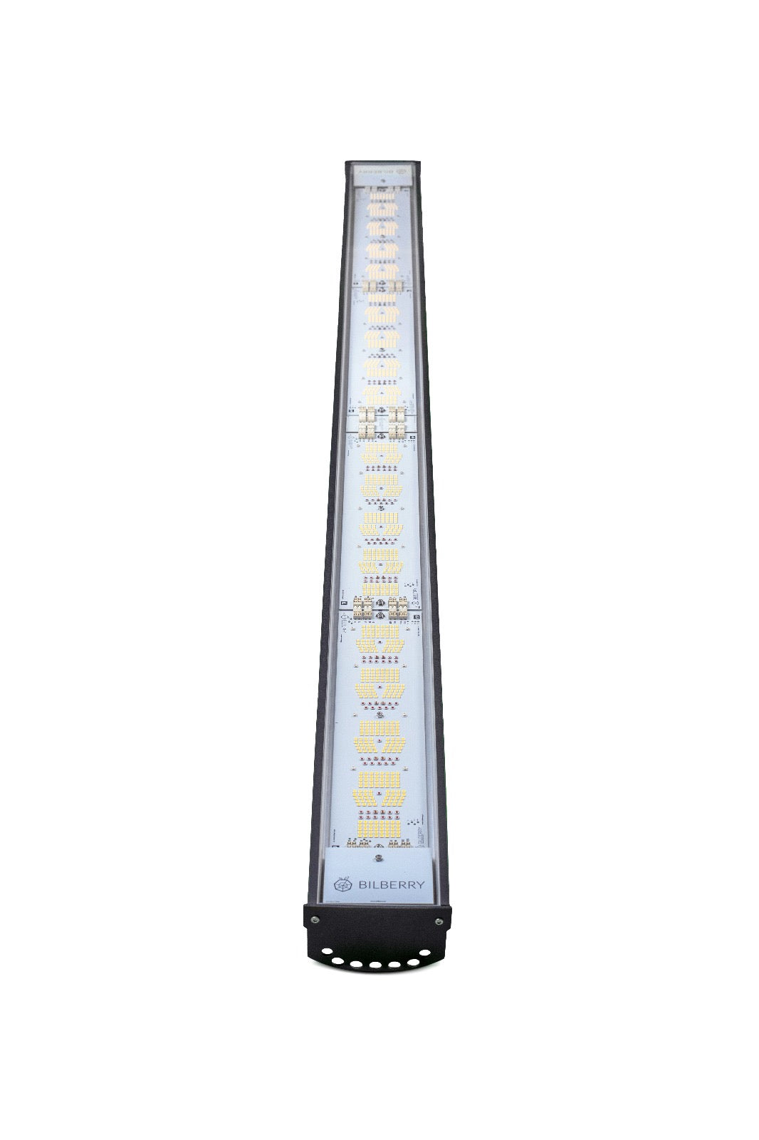 BILBERRY GROW HIGH POWER 650W