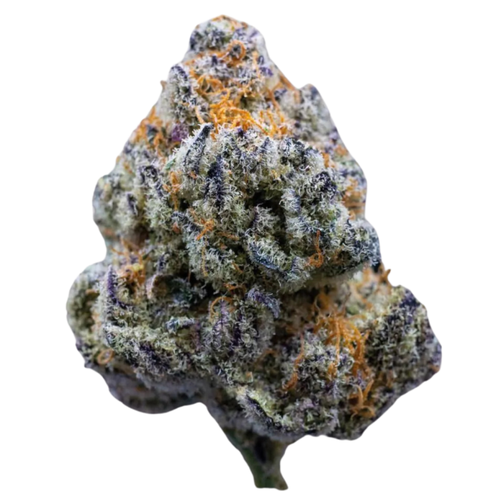 Platinum Mimosa Cookies 3 + 1 Seeds - Growers Choice