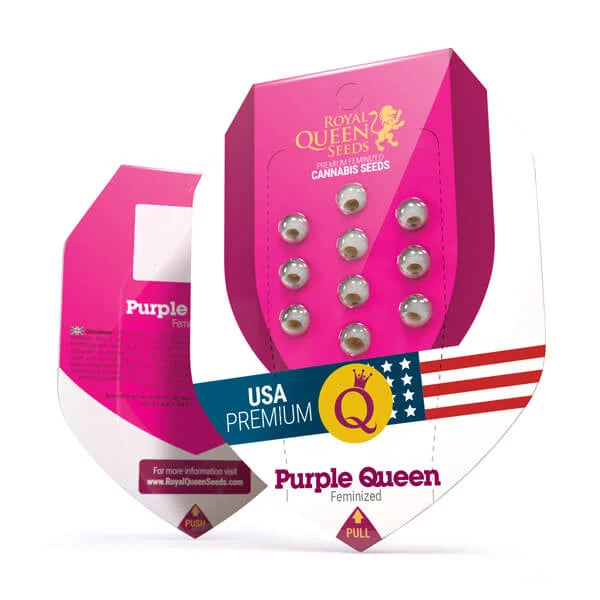 Purple Queen - Feminized - 3 Seeds + 3 Sample Seeds - Royal Queen Seeds