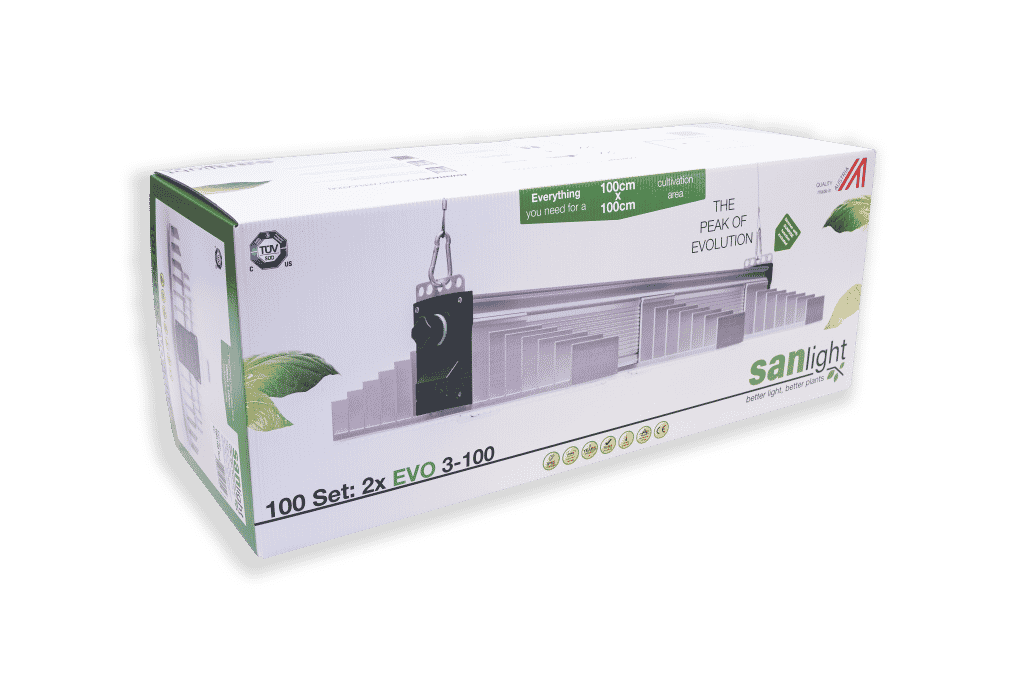 SANlight 100 Set 1.5