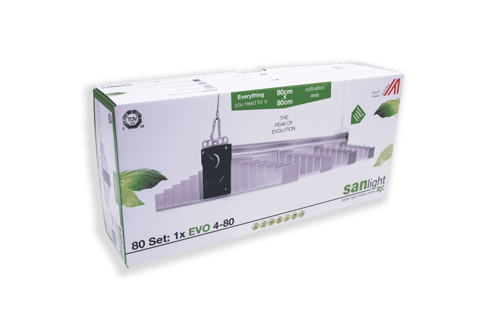 SANlight 80 Set 1.5