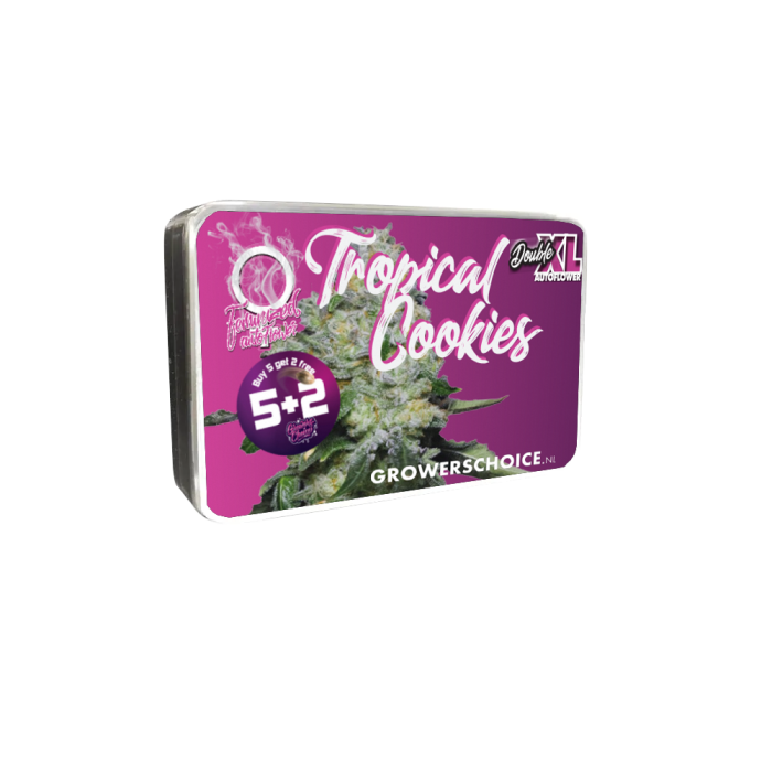 Double xl Tropical Cookies 3 + 1 Seeds - Growers Choice