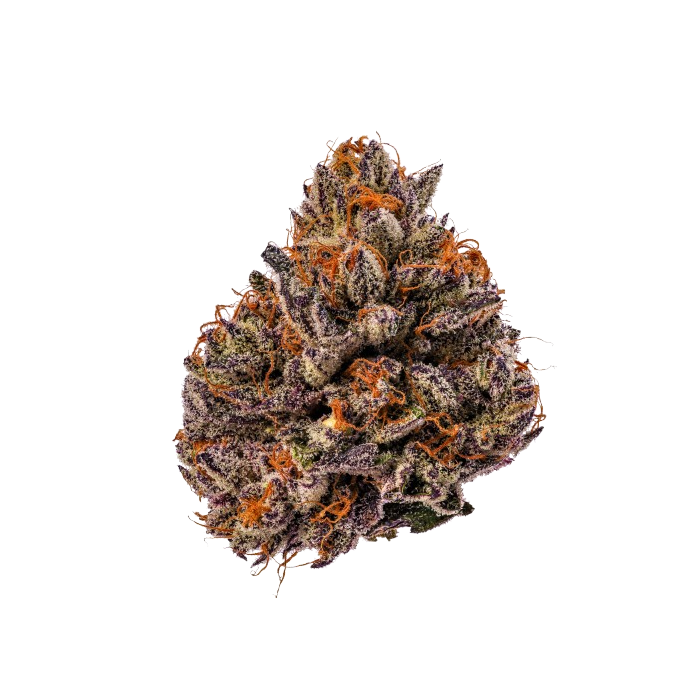 Triploid F1 Tropicana cherry 3 + 1 Seeds - Growers Choice