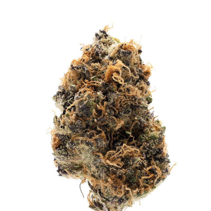 Watermelon Punch Autoflower 3 + 1 Seeds - Growers Choice