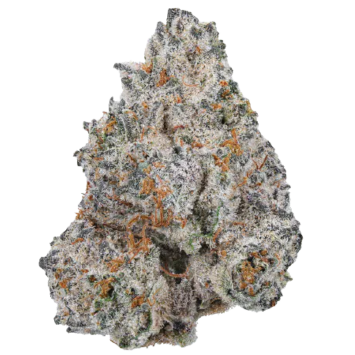 White Truffle Limited Edition 3 + 1 Seeds - Growers Choice