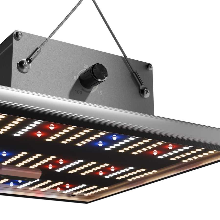 Caluma LED Force 150 W, 2,7 µmol/J
