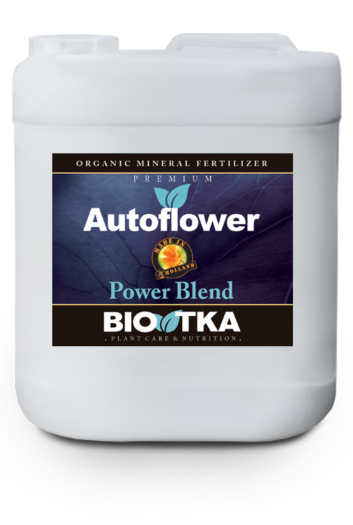 BIO TKA Autoflower