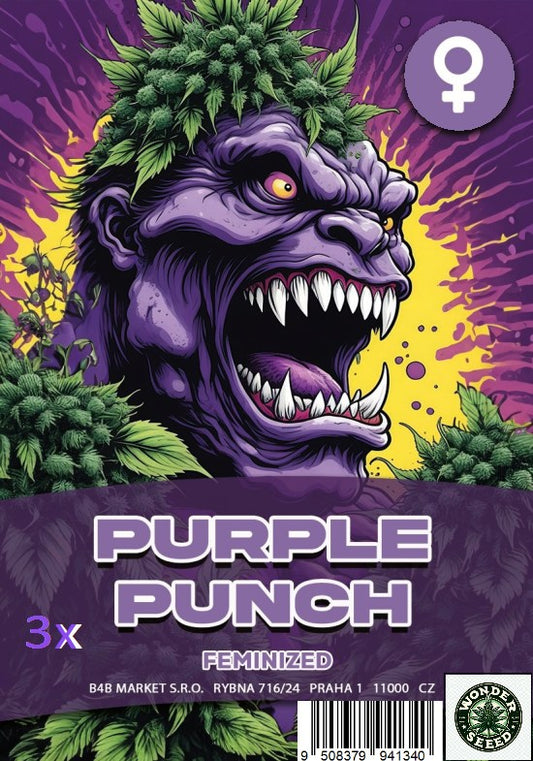 PURPLE PUNCH - WONDER SEED 3 Seeds