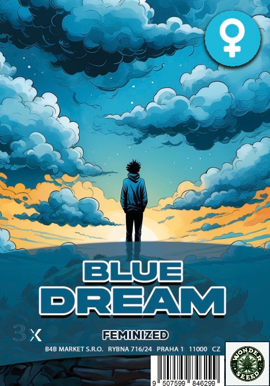BLUE DREAM  - WONDER SEED 3 Seeds