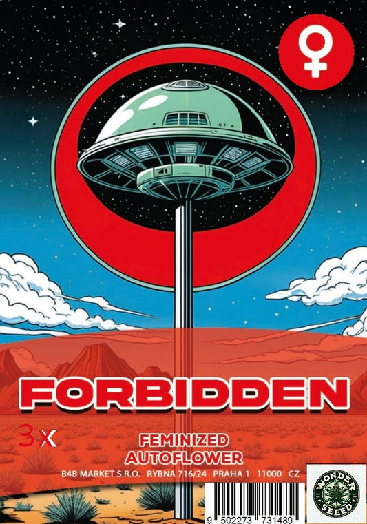 FORBIDDEN  - WONDER SEED 3 Seeds
