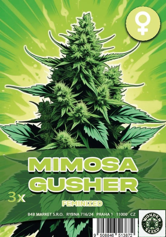 MIMOSA GUSHER - WONDER SEED 3 Seeds
