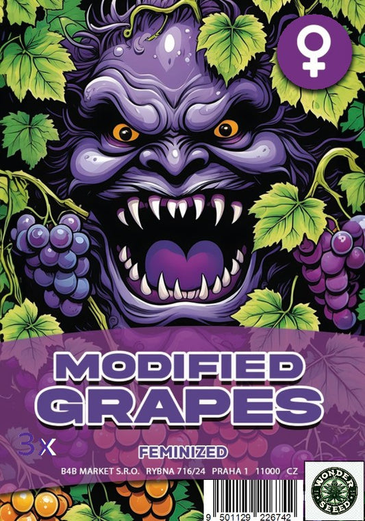 MODIFIED GRAPES - WONDER SEED 3 Seeds