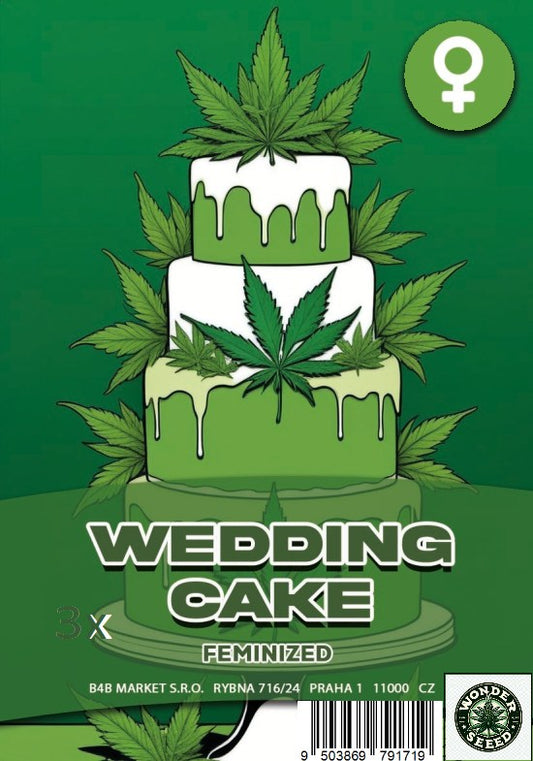 WEDDING CAKE - WONDER SEED 3 Seeds