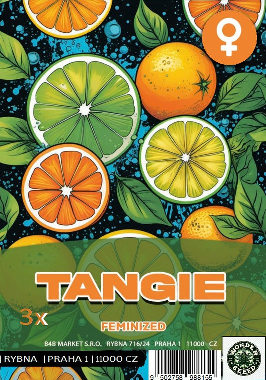 TANGIE - WONDER SEED 3 Seeds