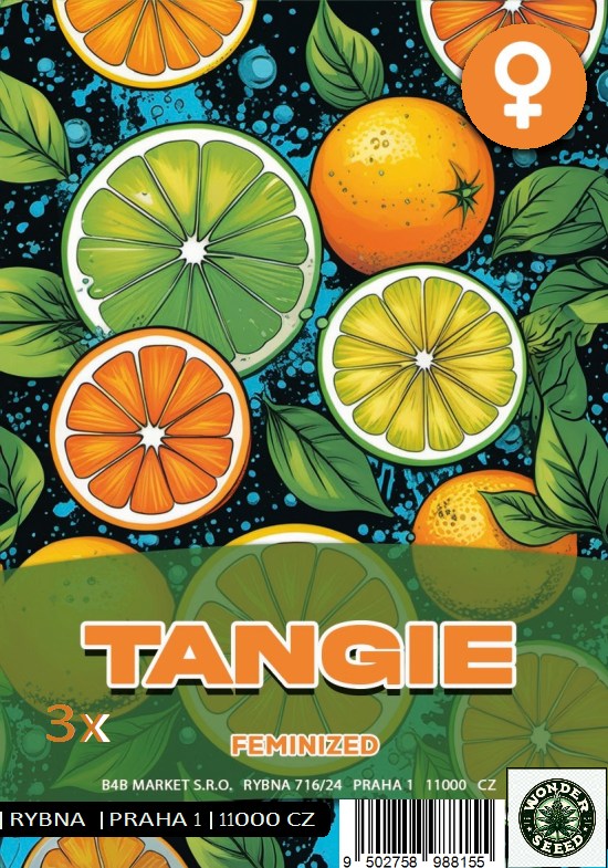 TANGIE - WONDER SEED 3 Seeds