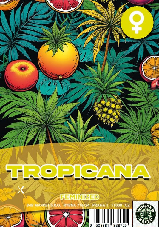 TROPICANA - WONDER SEED 3 Seeds
