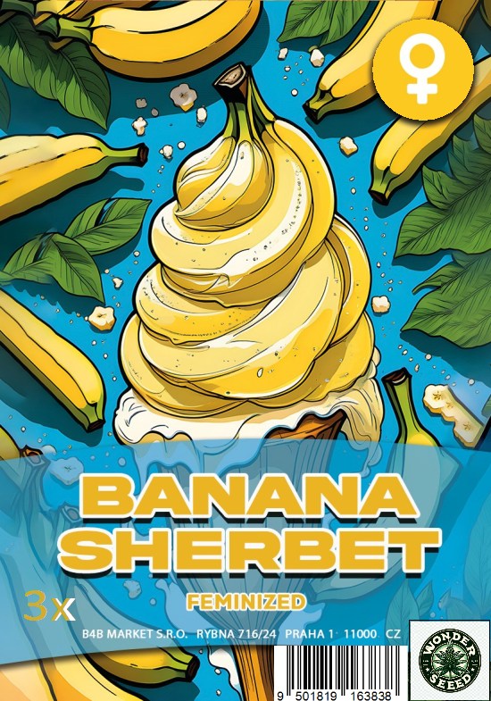 BANANA SHERBET - WONDER SEED 3 Seeds