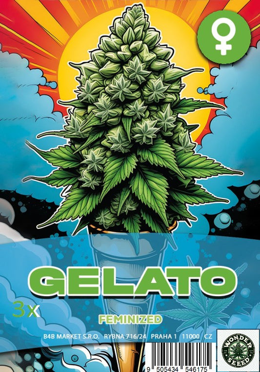 GELATO  - WONDER SEED 3 Seeds