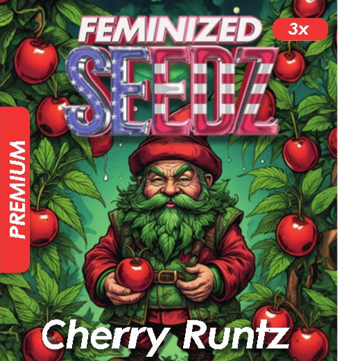 Cherry Runtz - USA Premium Feminized Seeds