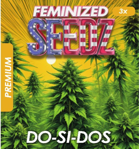 Do-Si-Dos - USA Premium Feminized Seeds