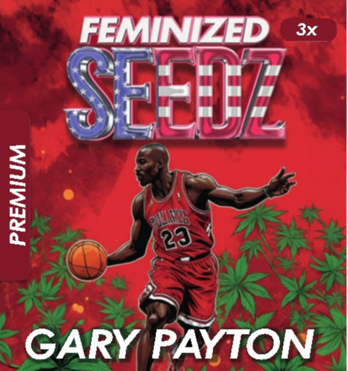 Gary Payton - USA Premium Feminized Seeds