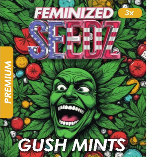 Gush Mints - USA Premium Feminized Seeds
