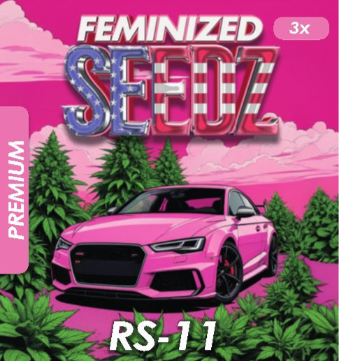 RS-11- USA Premium Feminized Seeds