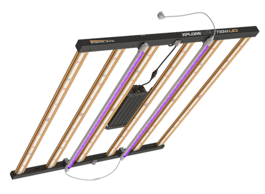 Dimlux Xtreme & Xplore Series LED 730 Watt