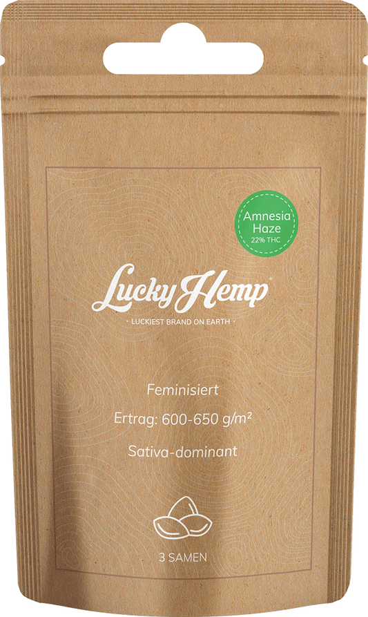 Amnesia Haze Samen Feminisiert 3 Seeds