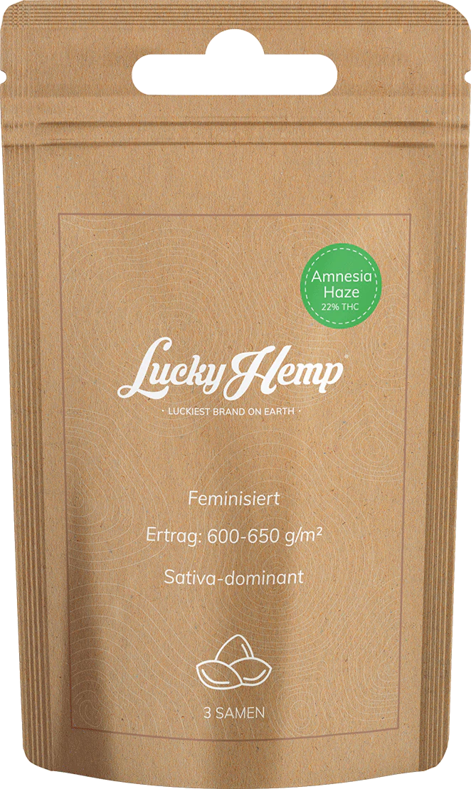 Amnesia Haze Samen Feminisiert 3 Seeds