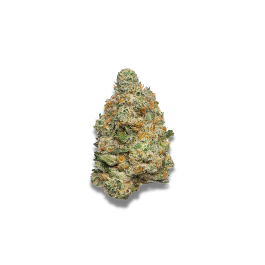 Apple Fritter Autoflower 3 + 1 Seeds - Growers Choice