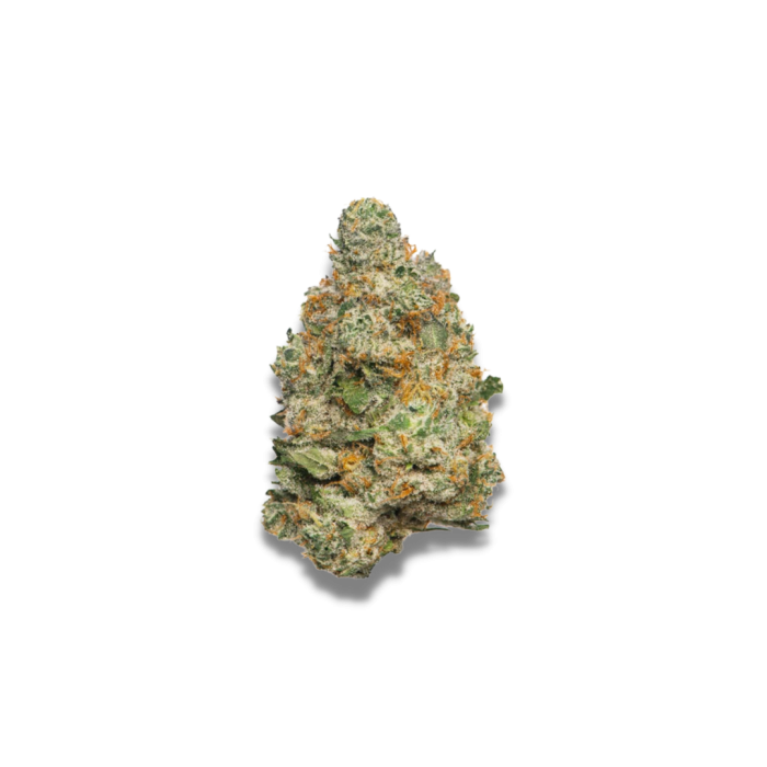 Apple Fritter Autoflower 3 + 1 Seeds - Growers Choice