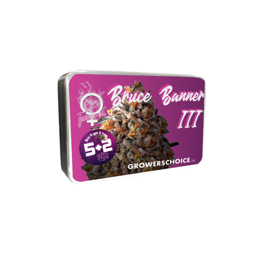 Bruce Banner 3 + 1 Seeds - Growers Choice