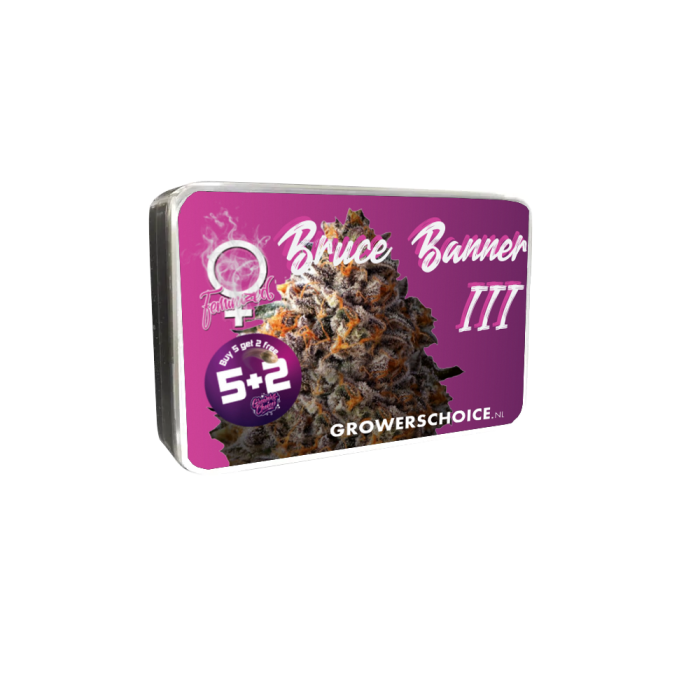 Bruce Banner 3 + 1 Seeds - Growers Choice