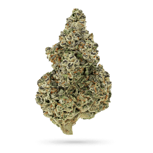 Crazy Roses Fast Version 3 + 1 Seeds - Growers Choice