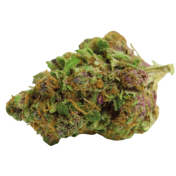 Double xl Red Banana berry 3 + 1 Seeds - Growers Choice