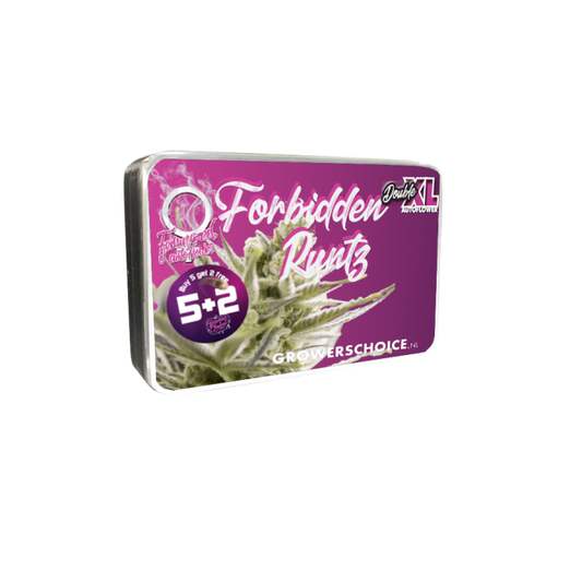 Double xl Forbidden Runtz 3 + 1 Seeds - Growers Choice