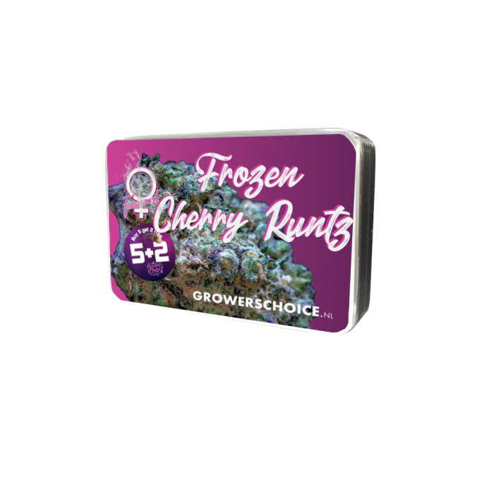 Frozen Cherry Runtz 3 + 1 Seeds - Growers Choice